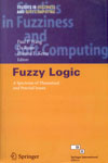 NewAge Fuzzy Logic: A Spectrum of Theoretical and Practical Issues